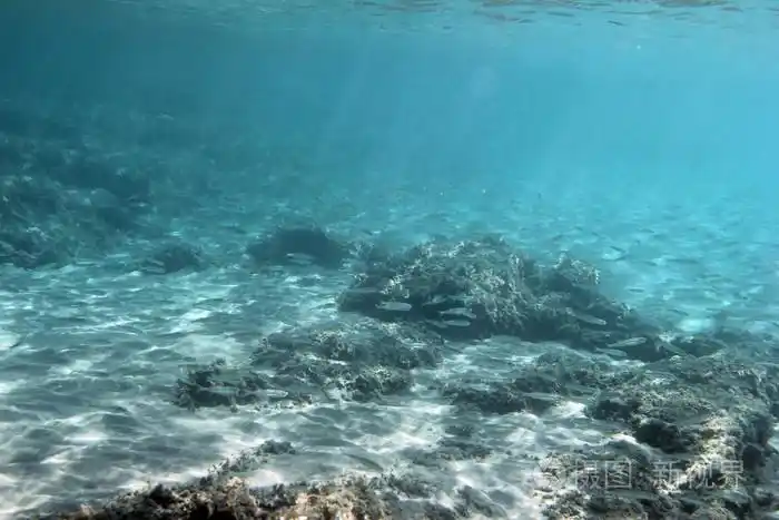 水下拍摄显示清澈湛蓝照片-正版商用图片1a9d2t-摄图新视界