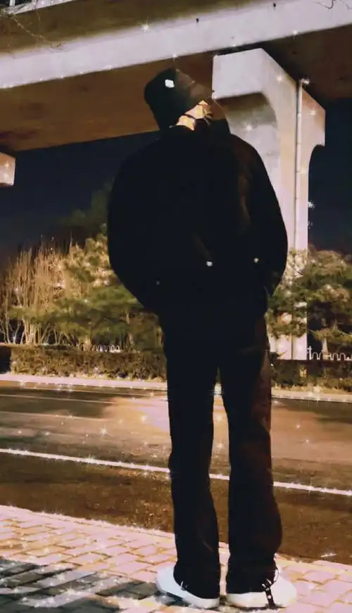 刘耀文夜色背影照