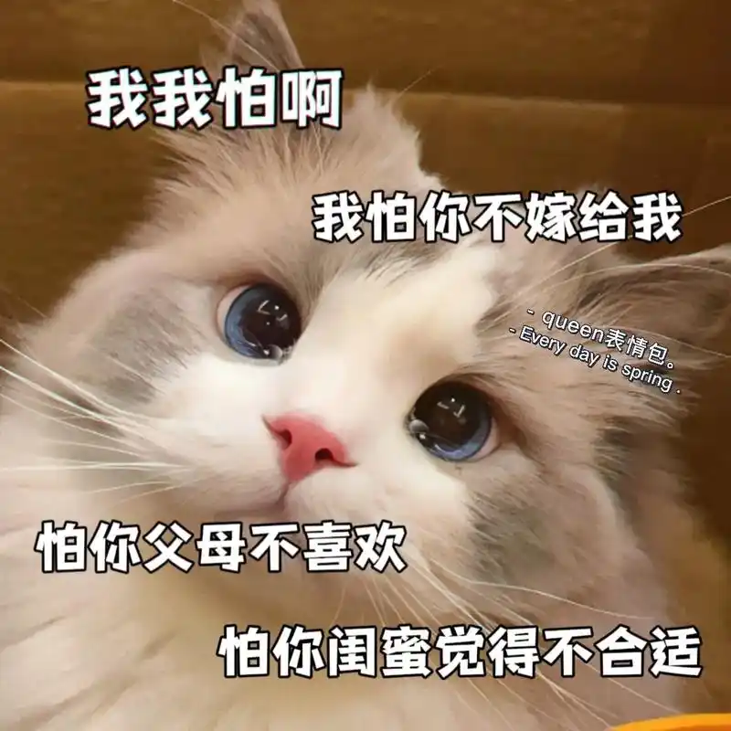 我们要一直在一起 臭宝#猫咪表情包 #发给对象表情包 #表情 - 抖音