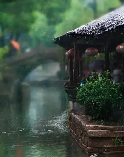 【雨景】小楼一夜听春雨.