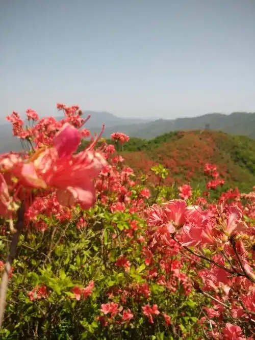 广寒寨四八门风景