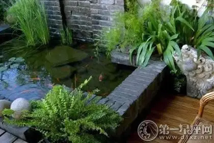 庭院风水水池如何布置,可谓大有讲究