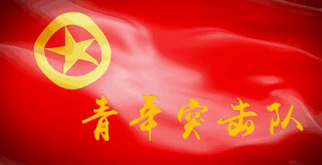 【战"疫"第一线】第35期│公安青年,战"疫"团旗飘