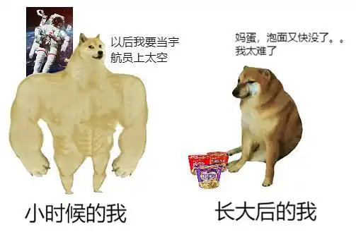 恶搞了一把swoledoge肌肉柴犬和小废柴的对比图自制