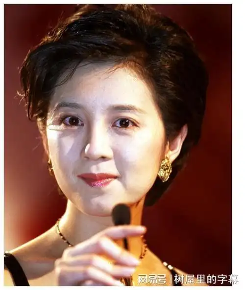 富豪丁健给前妻一亿离婚费,孩子也给她了|肖桦|许戈辉|名人面对面