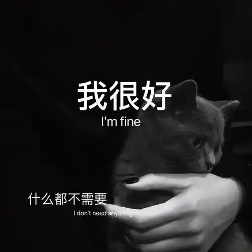 抖音热门文字朋友圈背景图