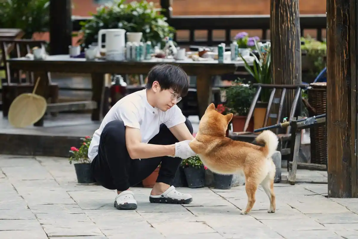 向往的生活第三季