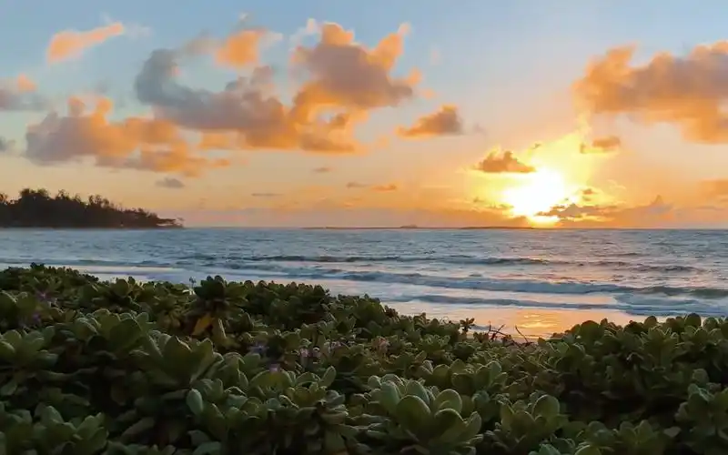 iphone xs max 夏威夷4k高清视频_哔哩哔哩 (゜-゜)つロ 干杯~-bili