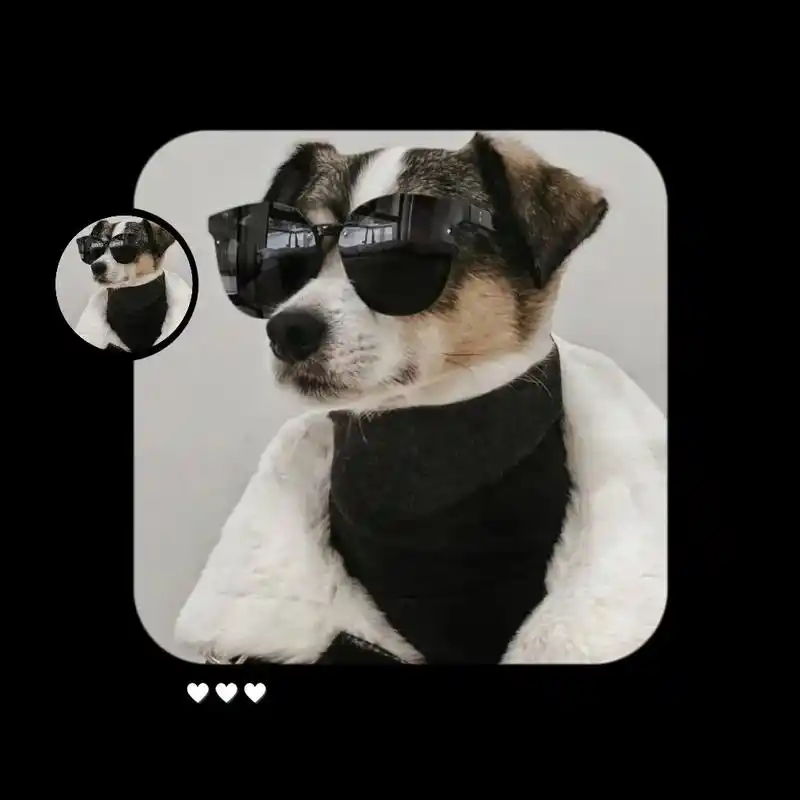 帅狗狗头像!我相信他会像超级英雄保护地球 - 抖音