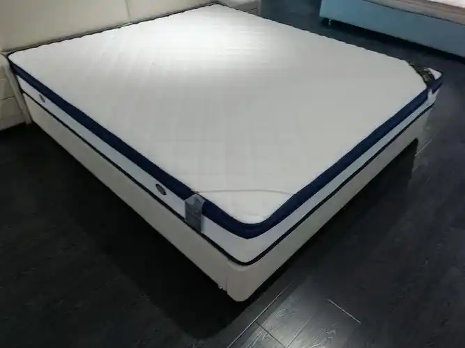 吉斯床垫天然乳胶椰棕床垫加厚保暖世博纪念版整网弹簧软硬两用