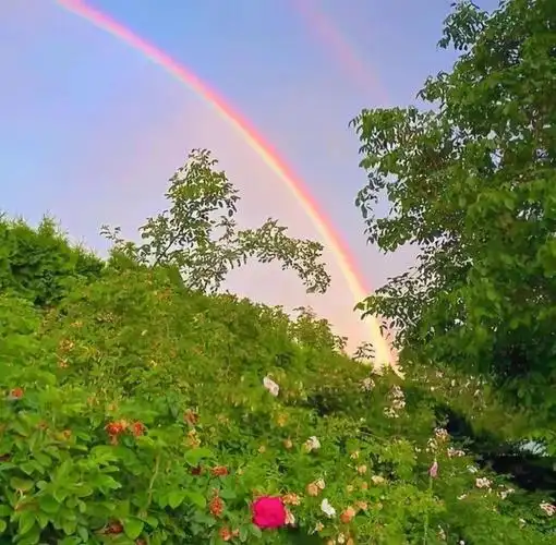 头像]纯字‖纯景‖文字朋友圈pyq背景图‖静景‖安静‖温柔‖唯美