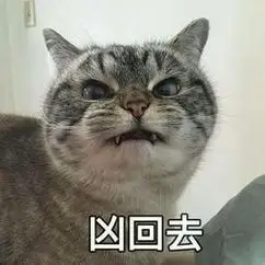 萌宠 猫星人 凶回去 生气 呆萌 可爱