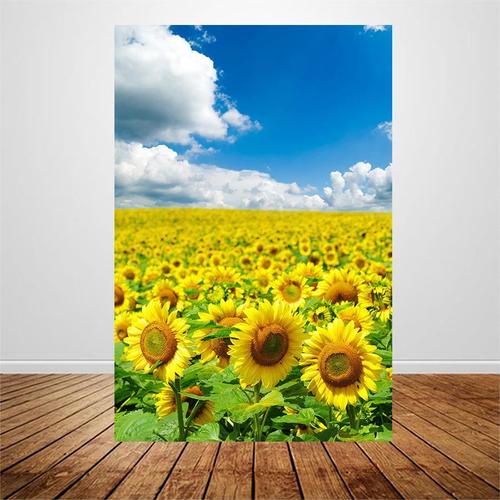 蓝天白云阳光田园风景画向日葵唯美花海报卧室客厅装饰壁贴画g222