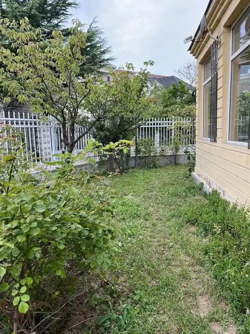 盐场海鲜街独栋别墅低价出售随时看房带300平大院