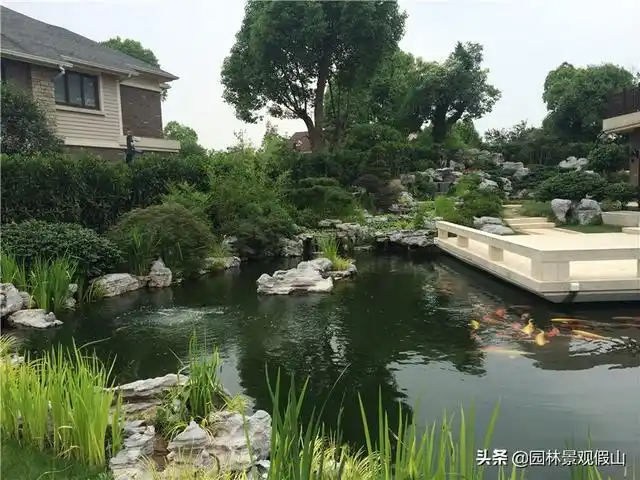 院子里有一个池塘,一座假山,热闹而芬芳.