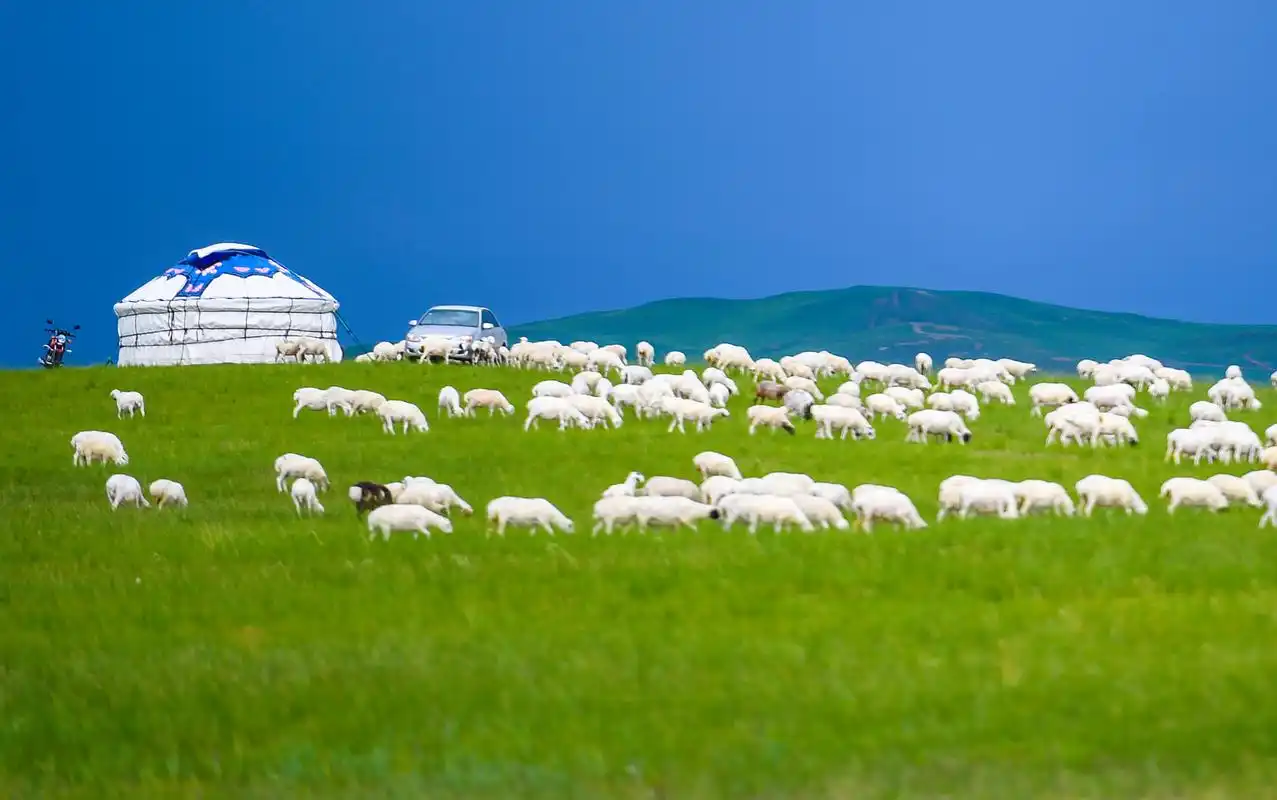 伟大变革带薪休假的内蒙古草原