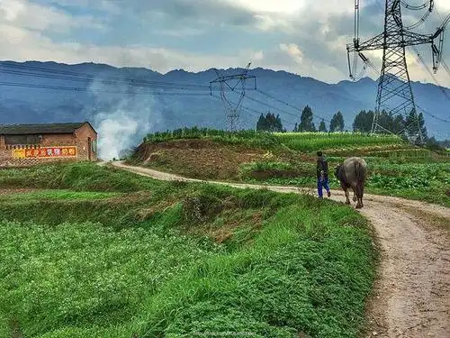 乡村生活是怎样的你的家乡是这样美丽吗