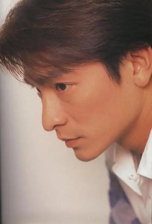 刘德华 andy lau的图片