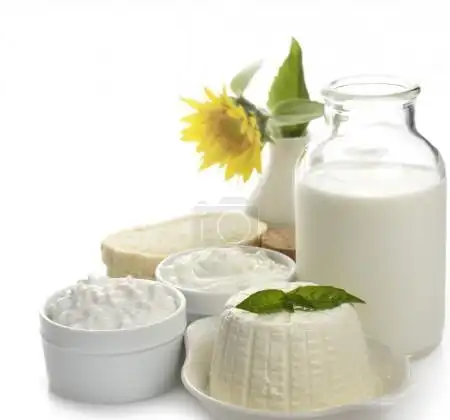 乳制品
