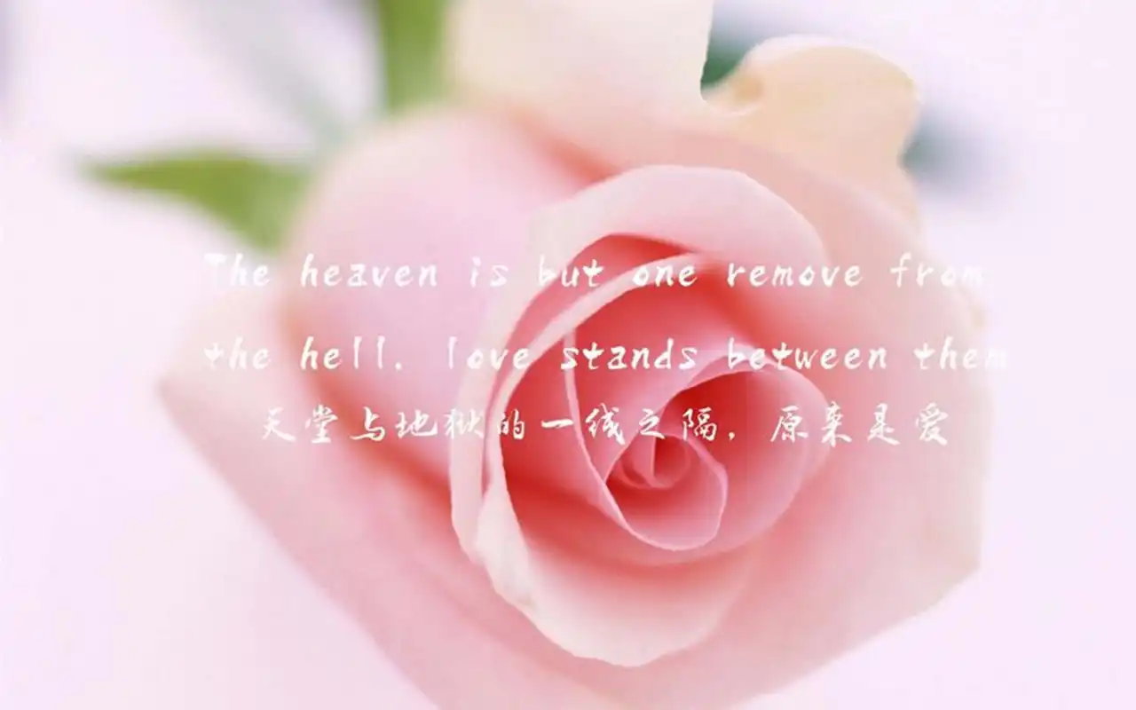 文字控唯美小清新图片电脑桌面壁纸下载