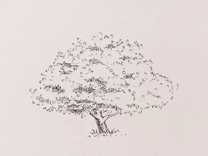 大树钢笔画线稿图片集钢笔画树木线稿作品大全