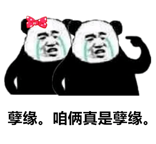 孙一宁王思聪聊天记录表情包我命油我不油天