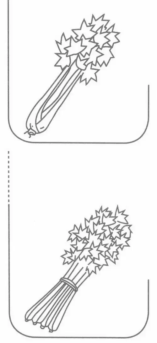 简笔画芹菜的画法视频