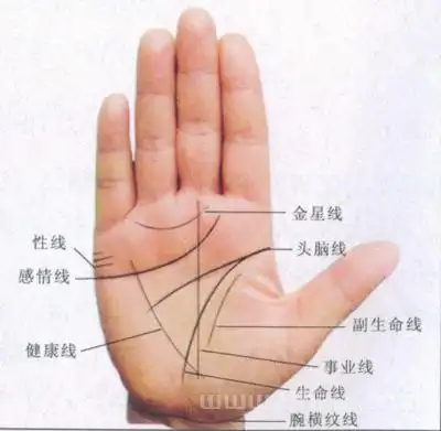 手相图解,女人手相图解大全女人手上有六条_八字合婚_生辰八字网