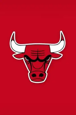 芝加哥公牛队史