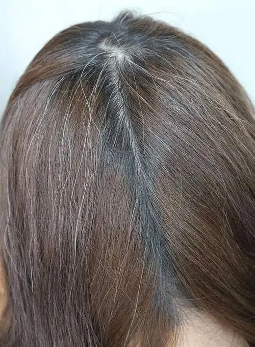 什么是成熟,大概就是发现自己有很多白头发|白发|染发|少白头|黑发