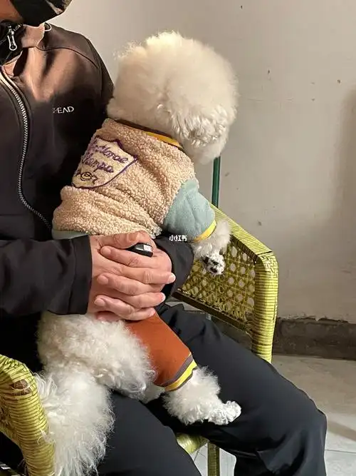 我的狗儿子真的好像小孩子啊