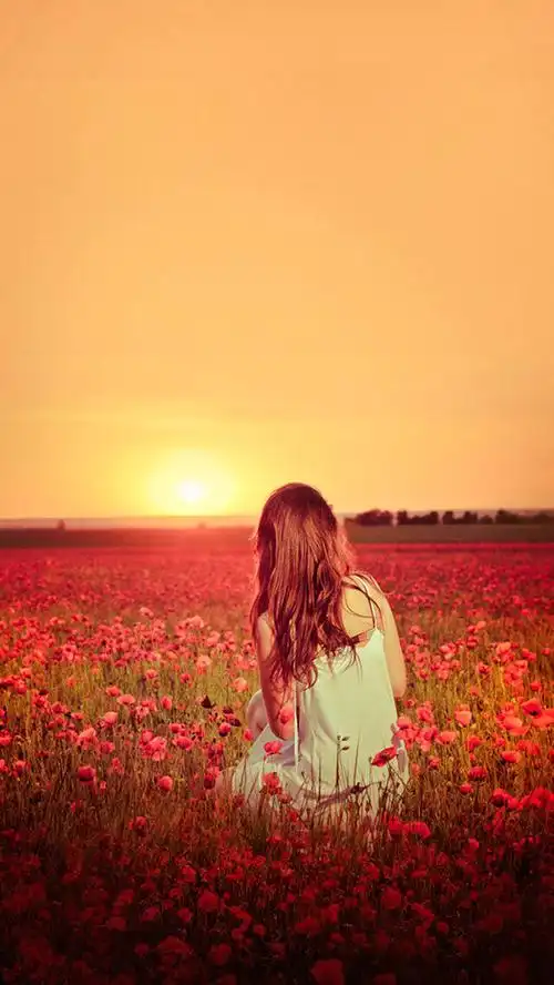 我爱壁纸夕阳花海女生背影