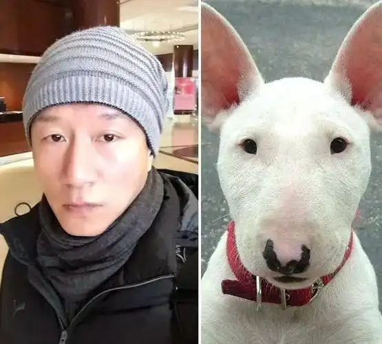 新闻评论娱乐圈800字_新闻圈娱乐字评论800字_如何写