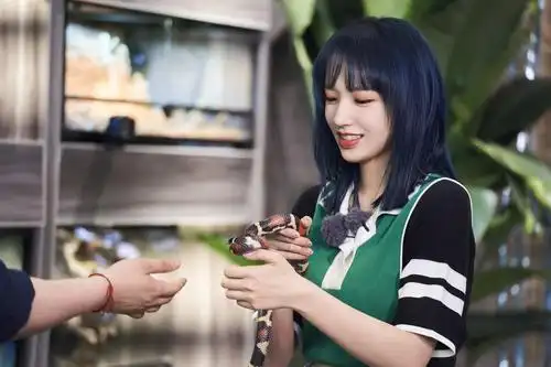 哎呀好身材2明日开播李湘王岳伦夫妻合体减肥