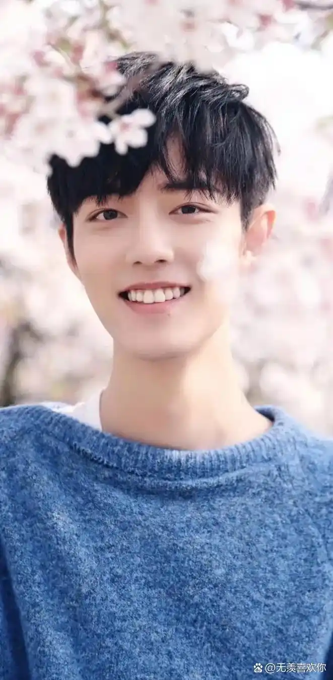 肖战的笑容,如同盛夏的果实,甜美而饱满.