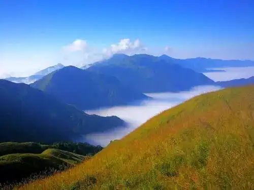 【美景】武功山高山草甸