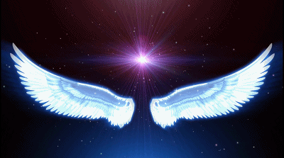 400_223gif 动态图 动图