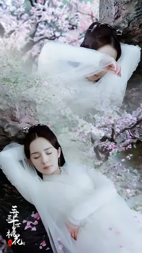 三生三世十里桃花杨幂白浅壁纸cr微博rsholly