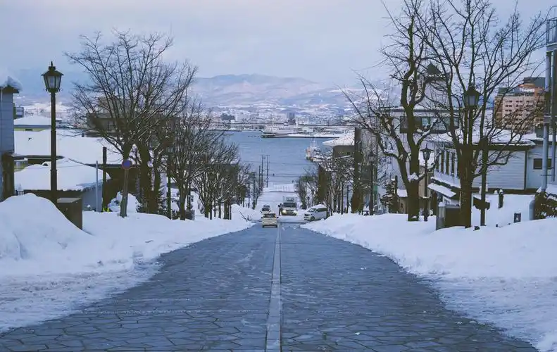 北海道的雪景无论去几次都不会看腻雪白的世界里并不缺乏有趣的色彩