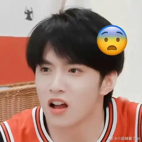 刘耀文在萌探吓出表情包##萌探探探案