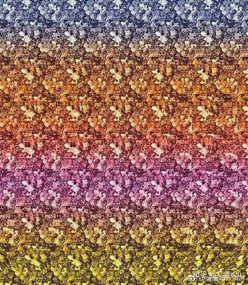 「裸眼 3d 图片的欣赏」有哪些快速入门的方法? - 知乎