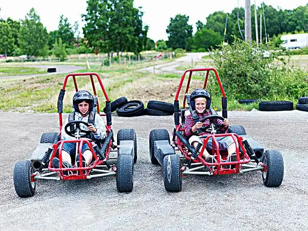 肖像,两个男孩,卡丁车