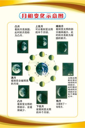 569海报印制海报展板素材411月相变化示意图