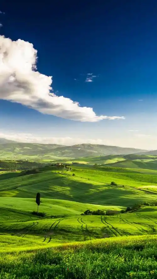 且行且珍惜,来之不易自然风景,和大自然拥抱,和谐共处…!