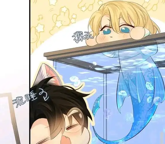 同是人鱼,阿伽雷斯攻气十足,兰波输在属性上面,上下根本不重要