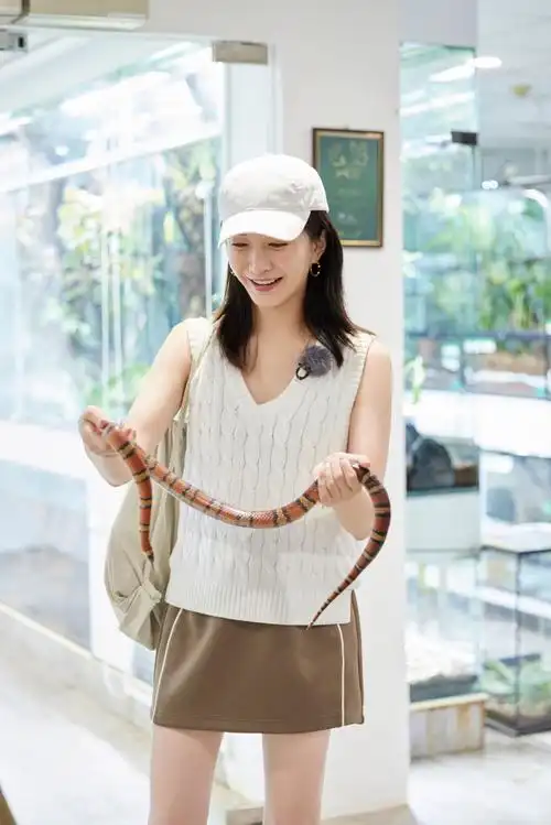 江疏影花少新加坡站vlog