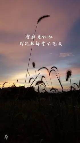 日落 文字 句子 原创 乡村风景 歌词 长镜头 杨宗纬 语录 夏天 心情