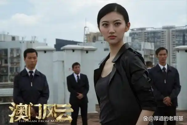 警匪片《警察故事2013》以及贺岁片《澳门风云》等作品均取得了不俗的