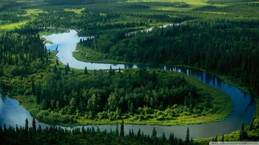 缓解眼疲劳图片2