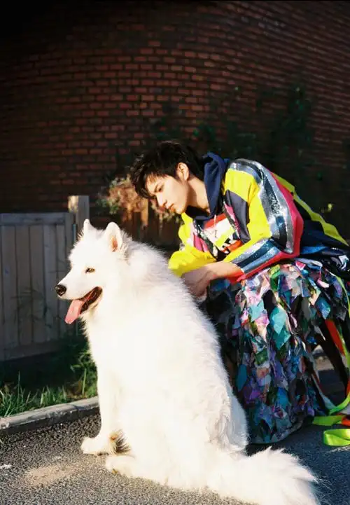 新生代演员刘耀文